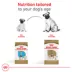 Royal Canin Breed Health Nutrition Pug Adult Dry Dog Food image thumbnail 6