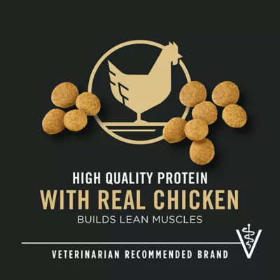 Product Purina Pro Plan Development Large Breed Puppy Dry Dog Food - Chicken & Rice