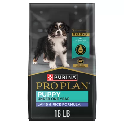 Purina puppy chow 18lb best sale