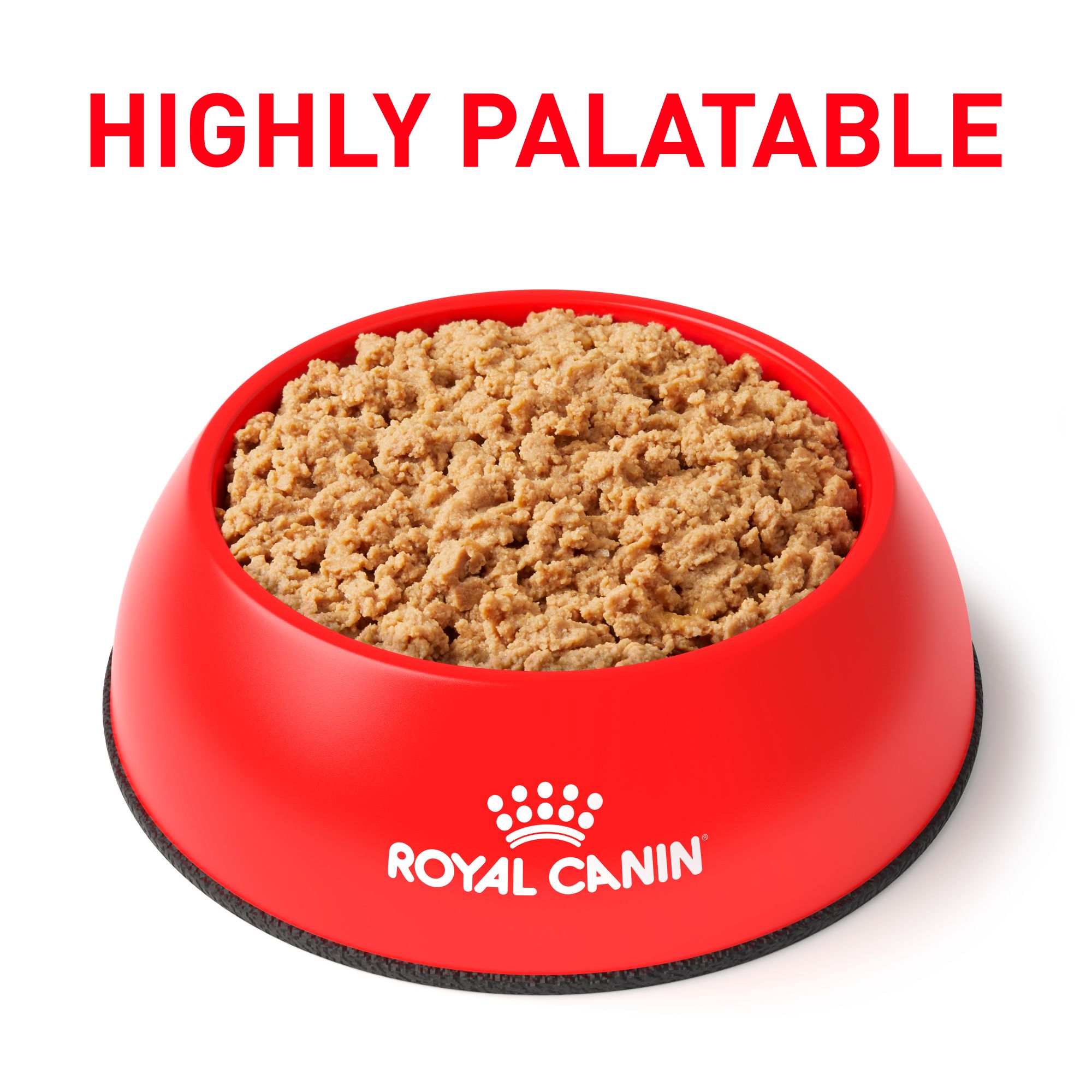 royal canin gi high energy canned