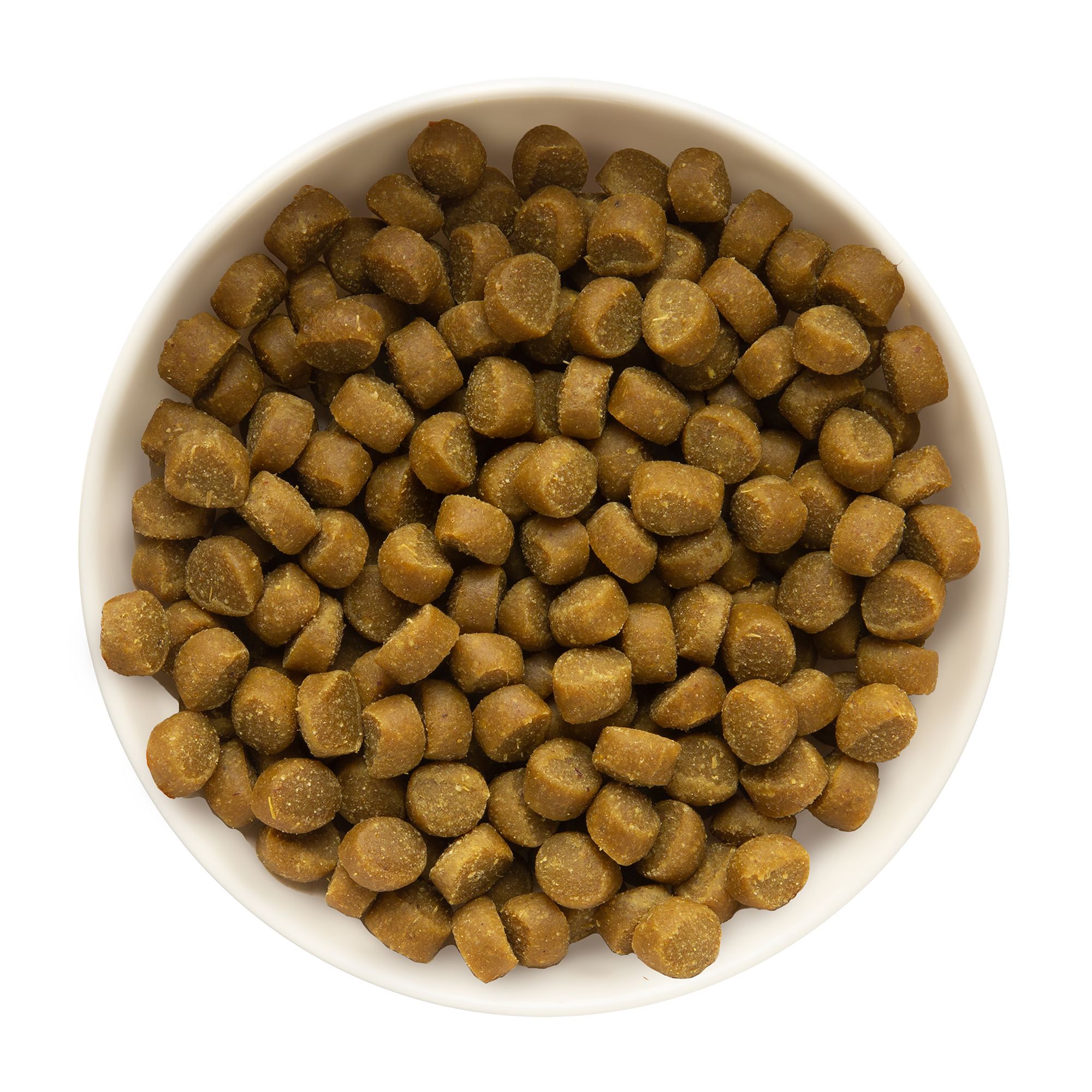 Petsmart zukes sales