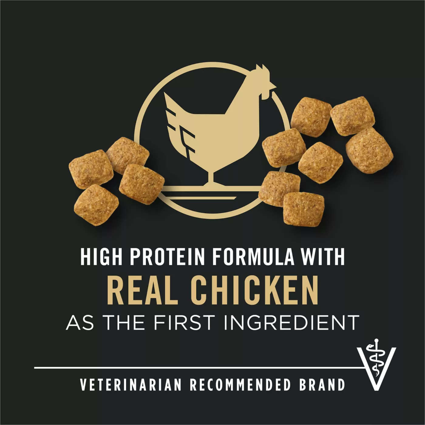 Purina ONE Plus Healthy Weight High Protein Dry Dog Food