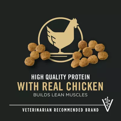 Product Purina Pro Plan Development Puppy Dry Dog Food - High Protein, Chicken & Rice