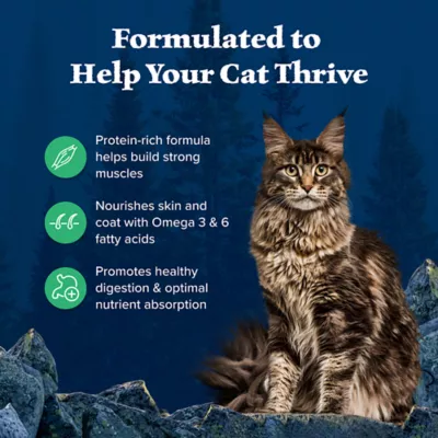 Product Blue Buffalo Wilderness Adult Dry Cat Food - Grain Free, Duck