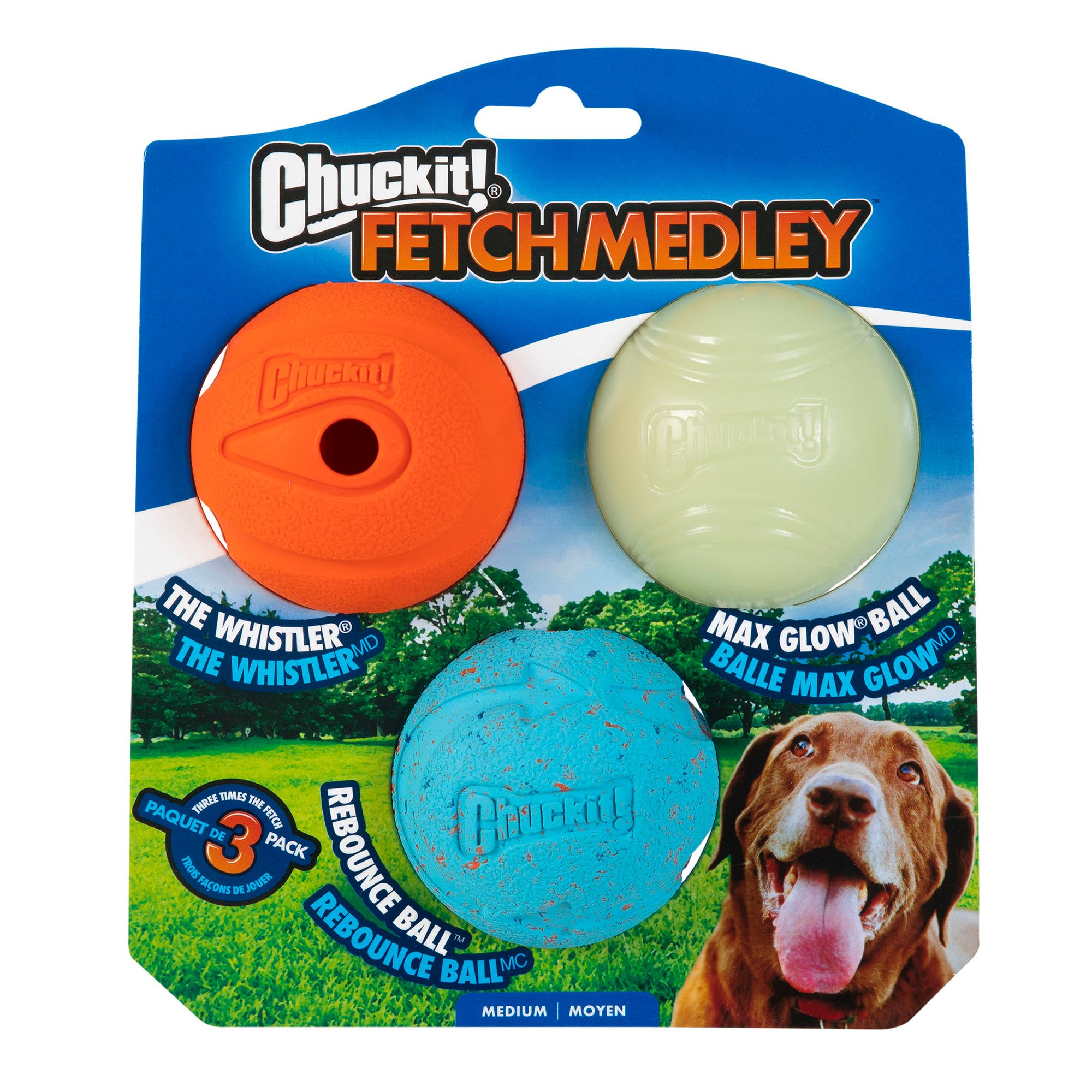 Chuckit!® Fetch Medley Ball Dog Toys 
