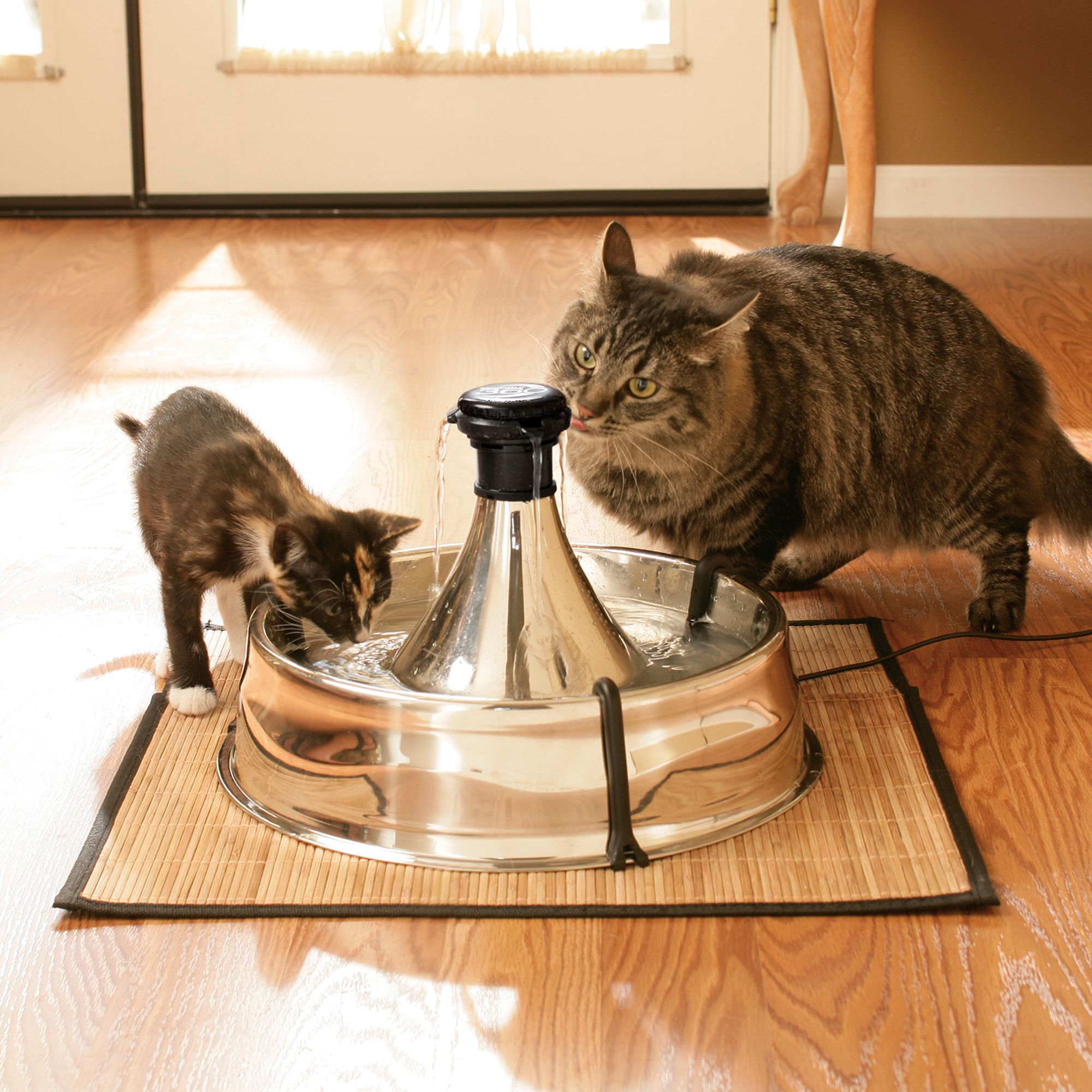 360 pet fountain