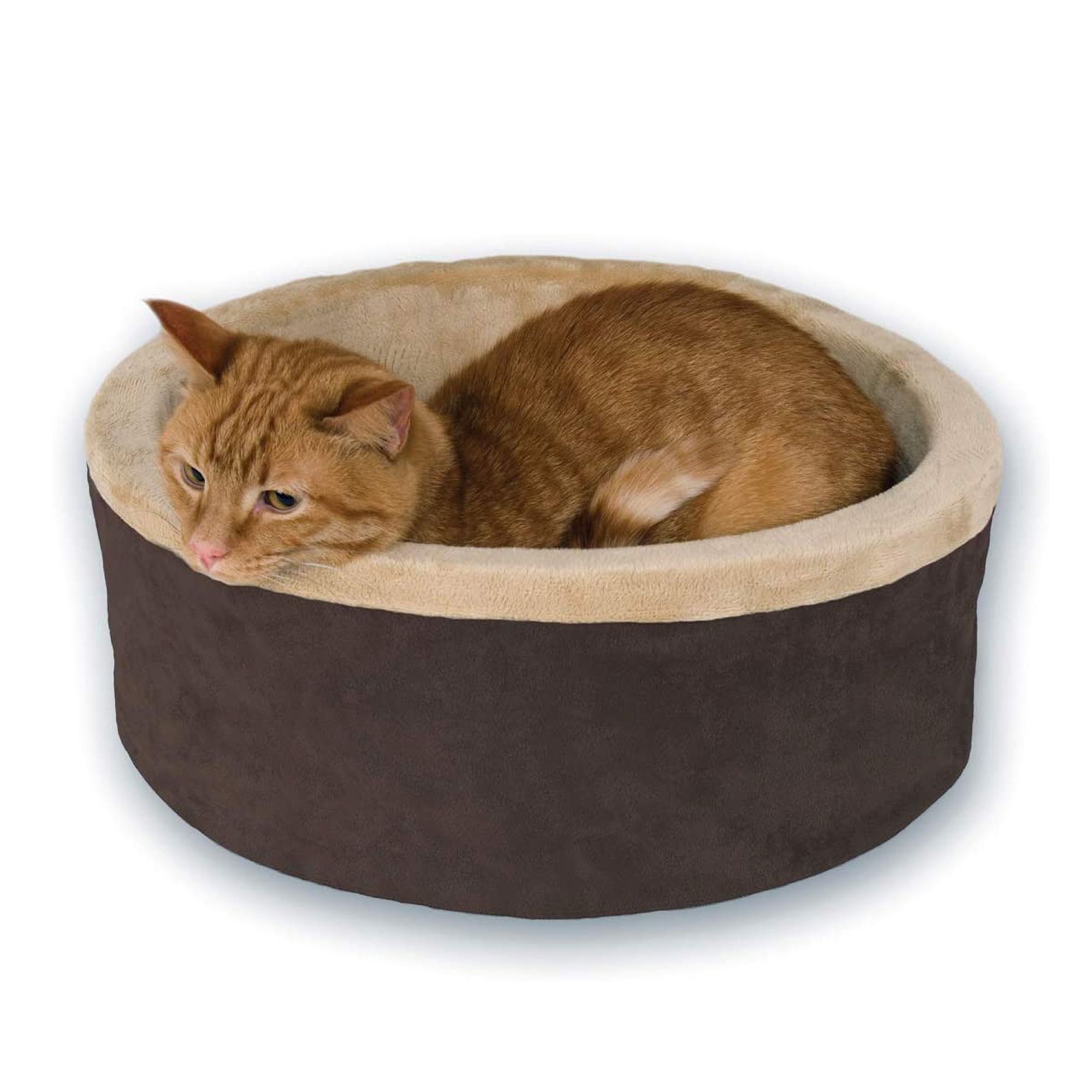 Heated cat 2025 house petsmart