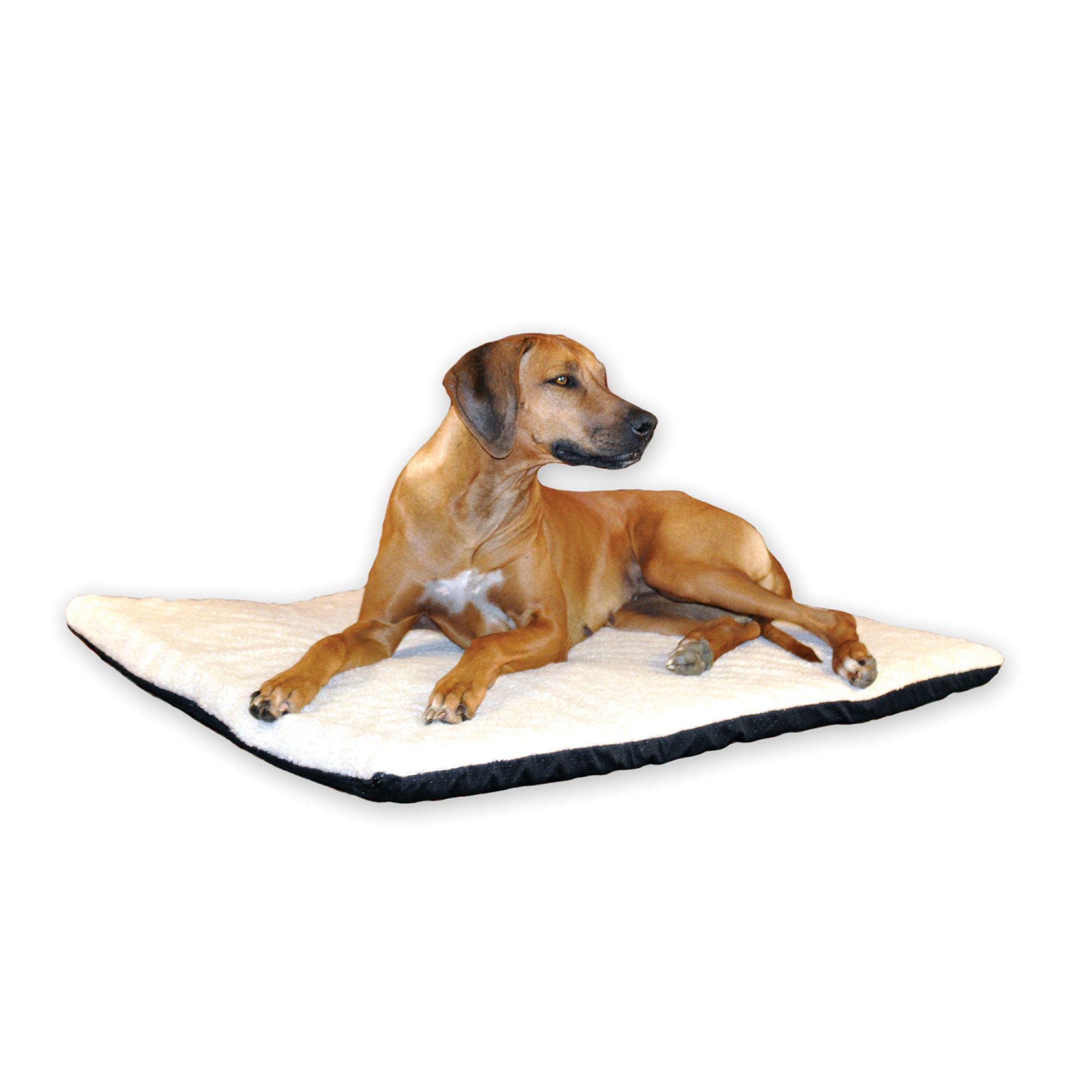 heated dog mat