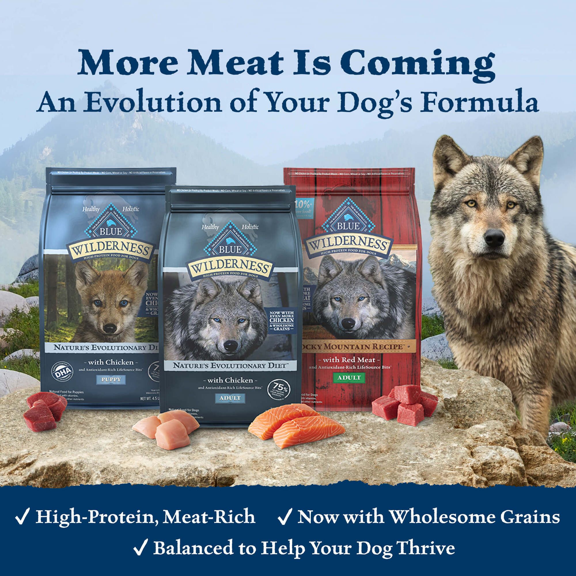 petsmart wilderness dog food