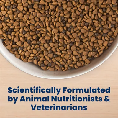 Blue Buffalo Life Protection Formula Lamb & Oatmeal Puppy Dry Food with DHA and ARA - Image 7