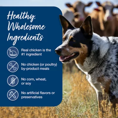 Product Blue Buffalo® Blue's Stew Adult Wet Dog Food - 12.5 Oz.
