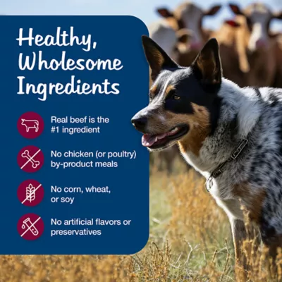 Product Blue Buffalo® Blue's Stew Adult Wet Dog Food - 12.5 Oz.