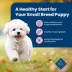 Blue Buffalo® Life Protection Formula™ Small Breed Puppy Dry Dog Food - Chicken & Oatmeal image thumbnail 4