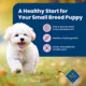 Product Blue Buffalo® Life Protection Formula™ Small Breed Puppy Dry Dog Food - Chicken & Oatmeal