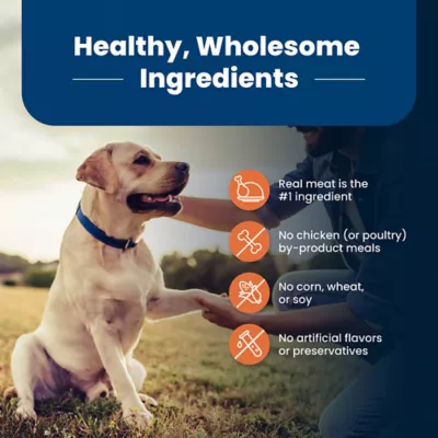 Product Blue Buffalo® Life Protection Formula Large Breed Senior 7+ Dry Dog Food - Chicken & Brown Rice