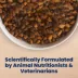 Blue Buffalo Life Protection Formula Large Breed Chicken & Brown Rice Senior Dry Dog Food image thumbnail 7