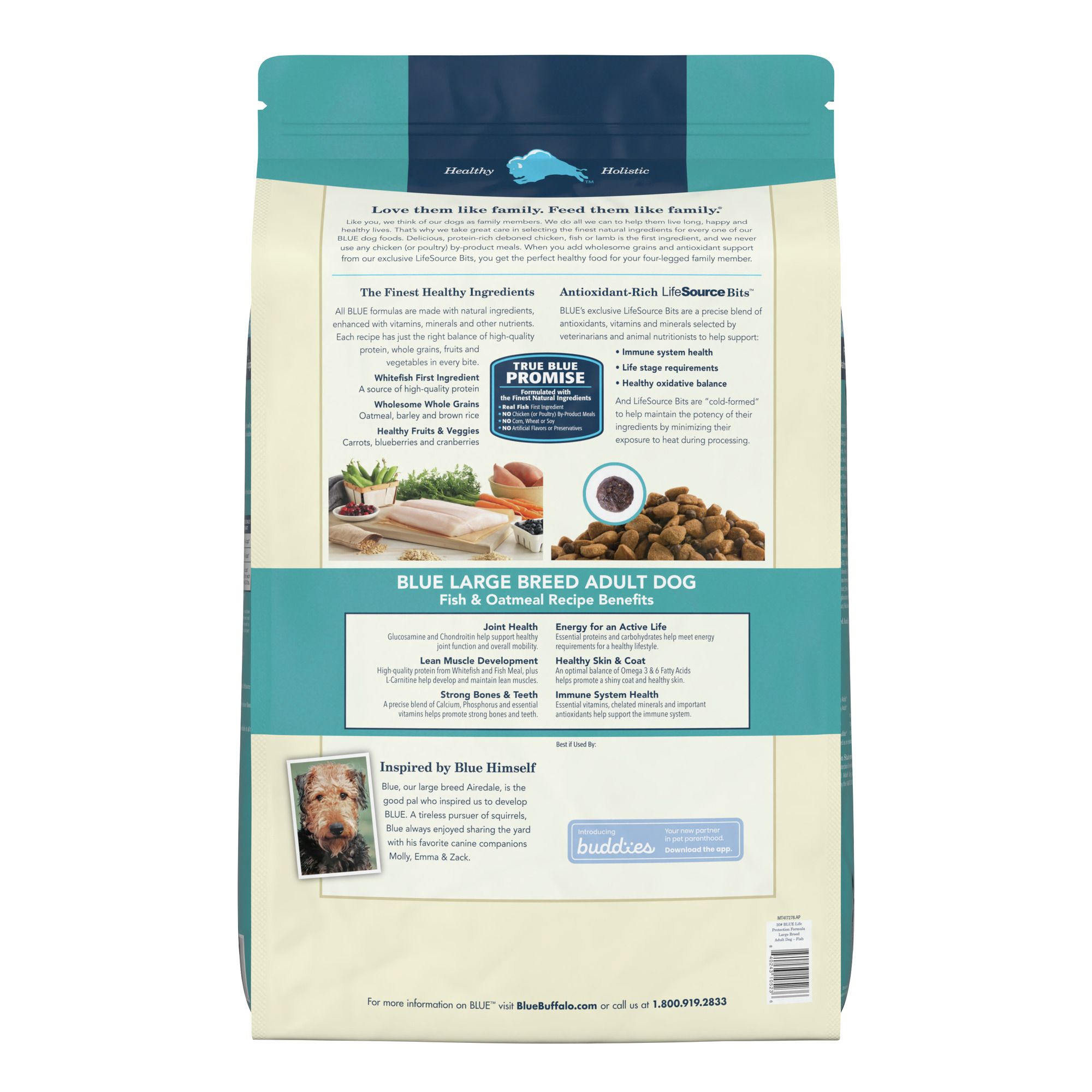 fish and oatmeal dog food