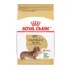 Royal Canin® Breed Health Nutrition® Dachshund Breed Specific Adult Dog Dry Food image thumbnail 1