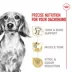 Royal Canin® Breed Health Nutrition® Dachshund Breed Specific Adult Dog Dry Food image thumbnail 3