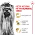 Royal Canin Adult Dry Dog Food - Yorkshire Terrier Breed Health Nutrition image thumbnail 3