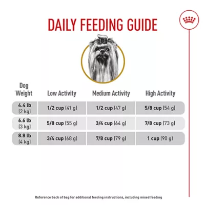 Product Royal Canin® Breed Health Nutrition® Yorkshire Terrier Breed Specific Adult Dog Dry Food