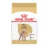 Royal Canin Adult Dry Dog Food - Poodle Breed Health Nutrition image thumbnail 1