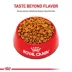 Royal Canin Adult Dry Dog Food - Poodle Breed Health Nutrition image thumbnail 2