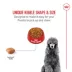 Royal Canin Adult Dry Dog Food - Poodle Breed Health Nutrition image thumbnail 4