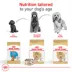Royal Canin Adult Dry Dog Food - Poodle Breed Health Nutrition image thumbnail 7