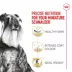 Royal Canin® Breed Health Nutrition® Miniature Schnauzer Breed Specific Adult Dog Dry Food - 10 lb image thumbnail 2