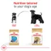 Royal Canin® Breed Health Nutrition® Miniature Schnauzer Breed Specific Adult Dog Dry Food - 10 lb image thumbnail 6
