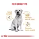 Product Royal Canin® Breed Health Nutrition® Labrador Retriever Breed Specific Adult Dog Dry Food - 30 lb