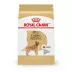 Royal Canin® Breed Health Nutrition® Golden Retriever Adult Dog Dry Food image thumbnail 1