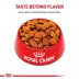 Royal Canin® Breed Health Nutrition® Golden Retriever Adult Dog Dry Food image thumbnail 2