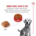 Royal Canin® Breed Health Nutrition® Golden Retriever Adult Dog Dry Food image thumbnail 4