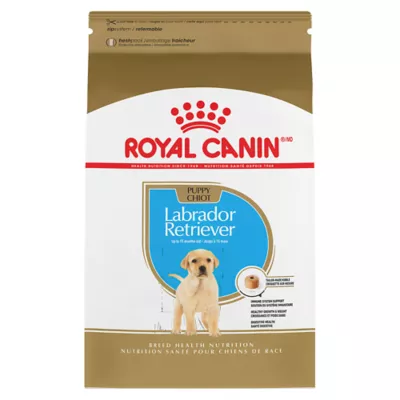 Product Royal Canin® Breed Health Nutrition® Labrador Retriever Breed Specific Puppy Dog Dry Food - 30 lb