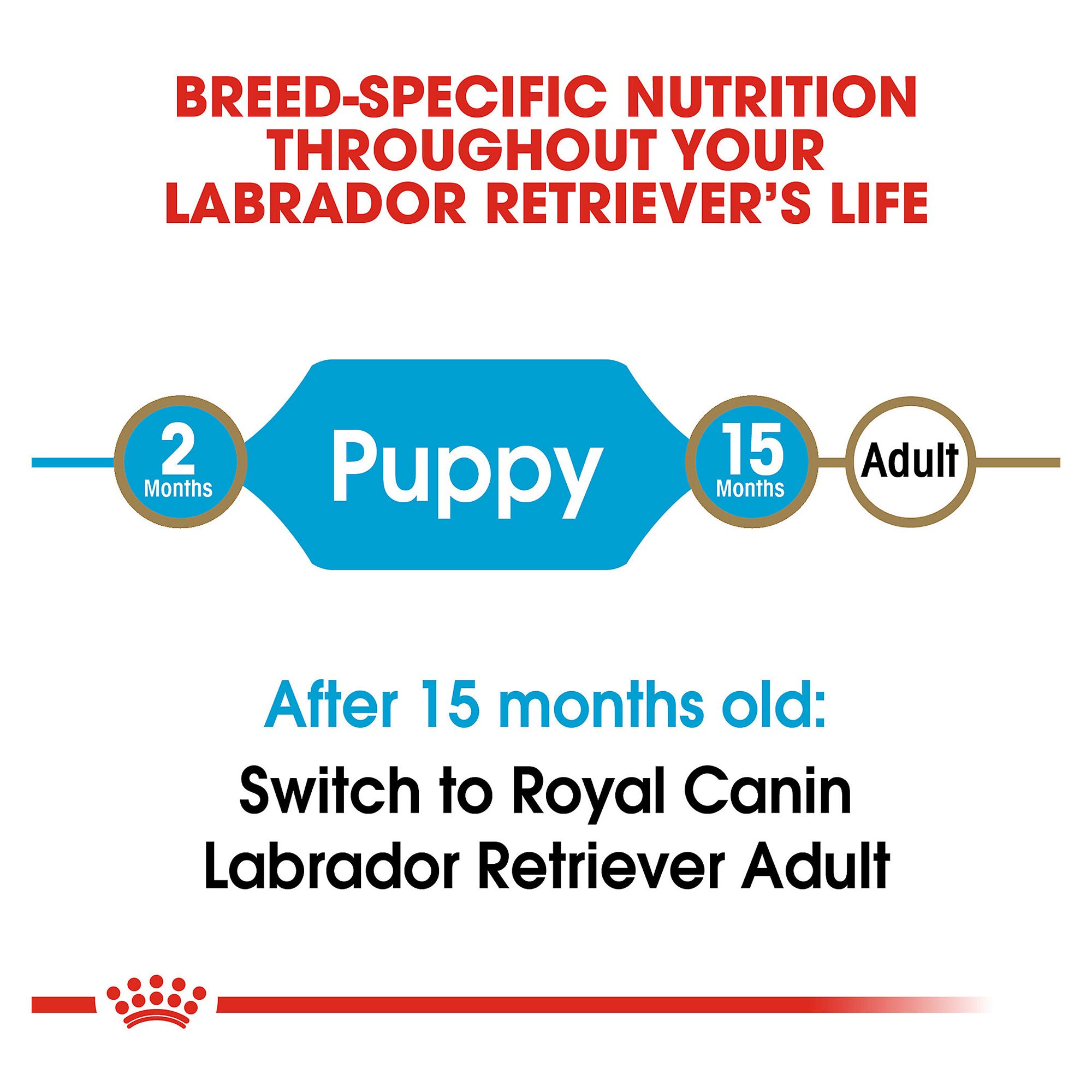 Royal Canin Breed Health Nutrition Trade Labrador Retriever Puppy Food Dog Dry Food Petsmart