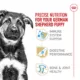 Product Royal Canin® Breed Health Nutrition® German Shepherd Breed Specific Puppy Dog Dry Food - 30 lb