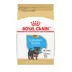 Royal Canin Puppy Dry Dog Food - Yorkshire Terrier Breed Health Nutrition, 2.5 lb image thumbnail 1