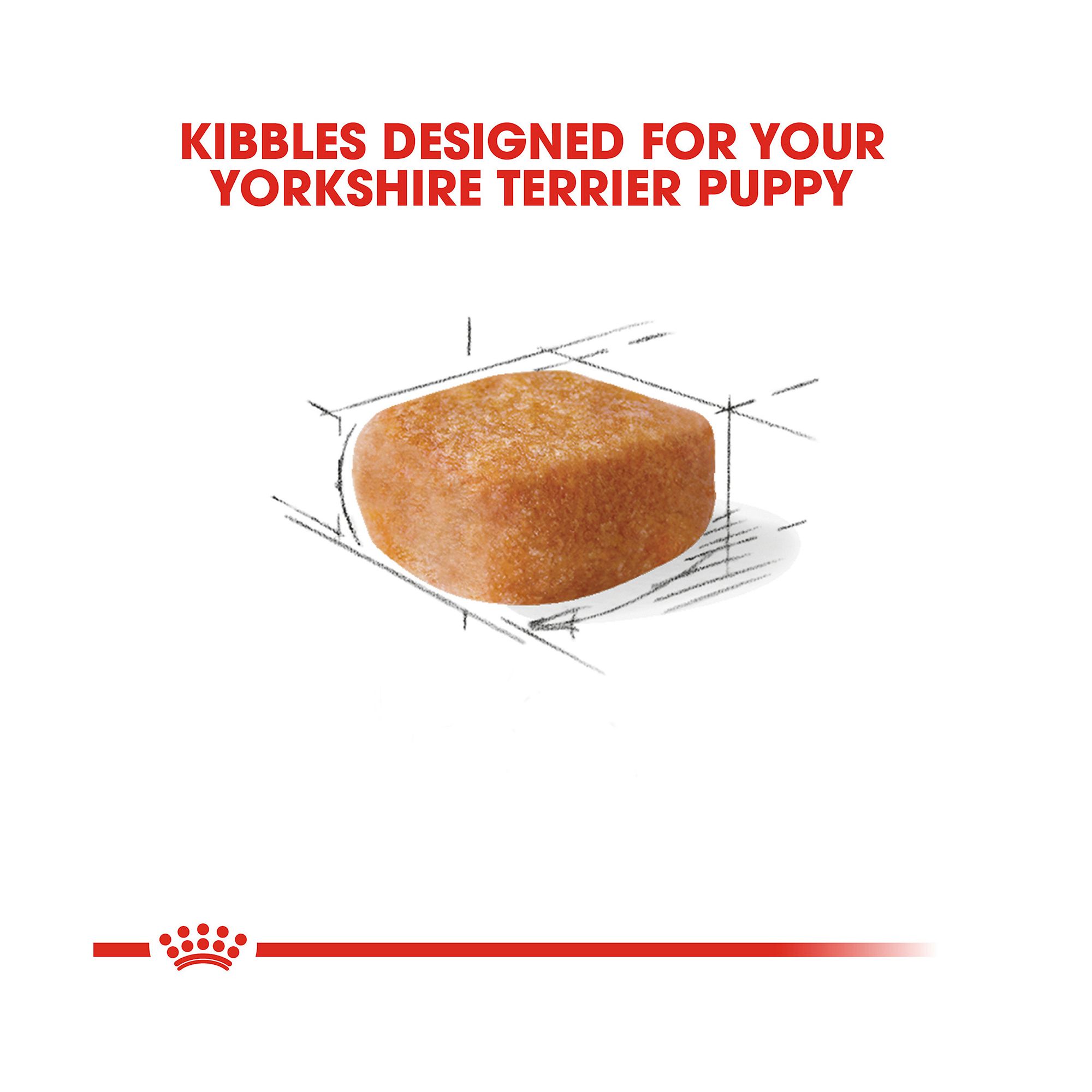 royal canin puppy food yorkshire terrier