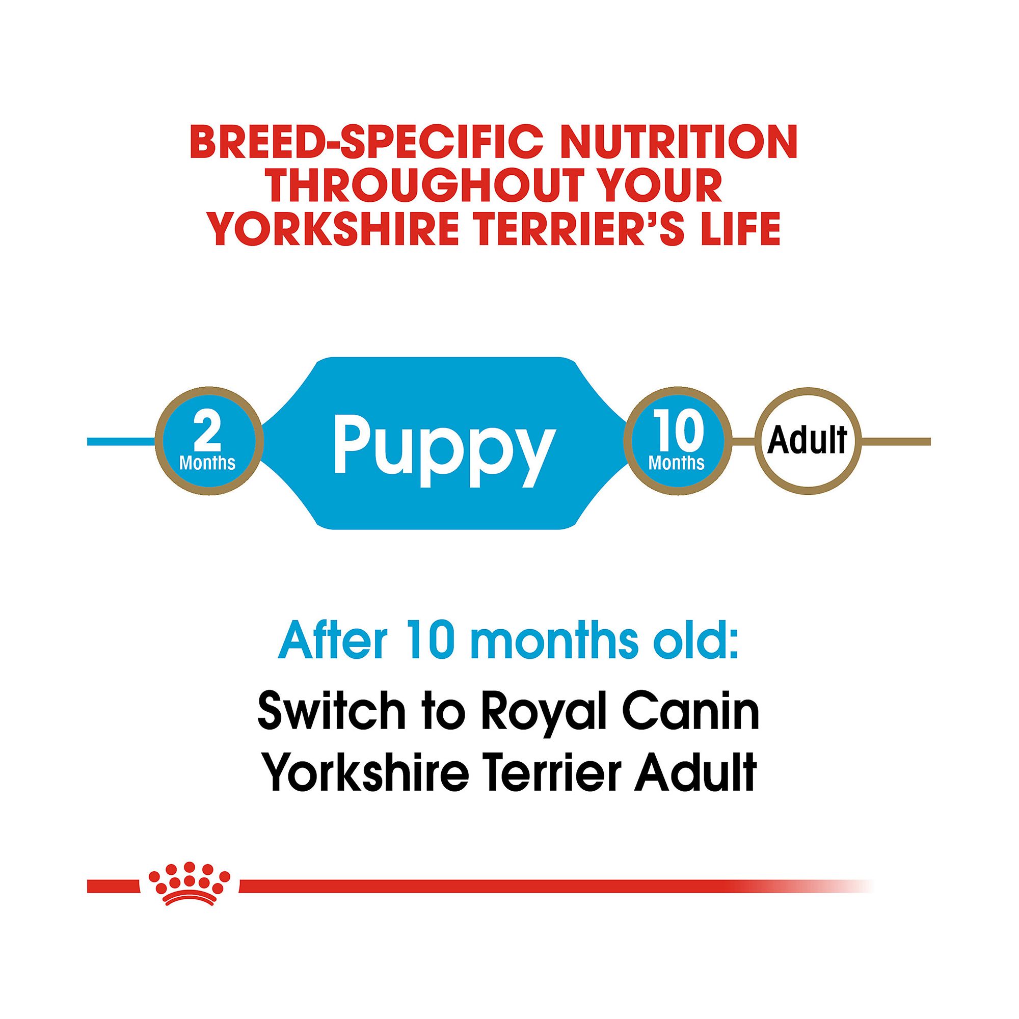 Royal Canin Breed Health Nutrition Yorkshire Terrier Breed Specific Puppy Dog Dry Food 2.5 lb