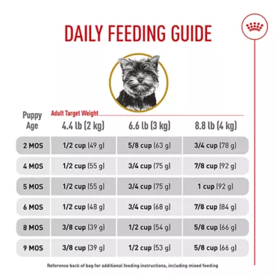 Product Royal Canin® Breed Health Nutrition® Yorkshire Terrier Breed Specific Puppy Dog Dry Food - 2.5 lb