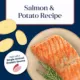 Product Blue Buffalo® Basics™ Skin & Stomach Care Adult Dog Dry Food - Salmon & Potato