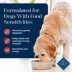 Blue Buffalo® Basics™ Skin & Stomach Care Adult Dog Dry Food - Salmon & Potato image thumbnail 4
