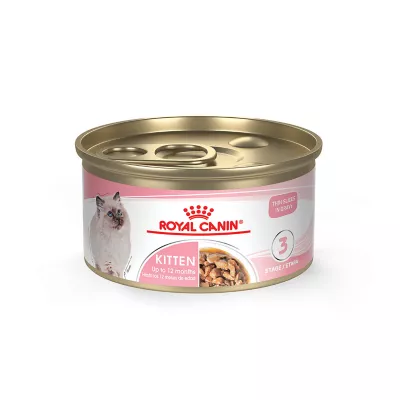 Royal Canin Feline Health Nutrition Kitten Thin Slices in Gravy Wet Cat Food 3 oz can