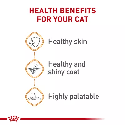 Product Royal Canin® Feline Care Nutrition Hair & Skin Care Adult Cat Slices in Gravy Wet Food  3 oz can