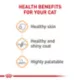 Product Royal Canin® Feline Care Nutrition Hair & Skin Care Adult Cat Slices in Gravy Wet Food  3 oz can