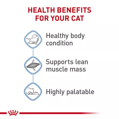 Product Royal Canin® Feline Care Nutrition Weight Care Adult Wet Cat Food - Slices in Gravy, 3oz