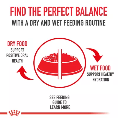 Product Royal Canin® Feline Care Nutrition Weight Care Adult Wet Cat Food - Slices in Gravy, 3oz