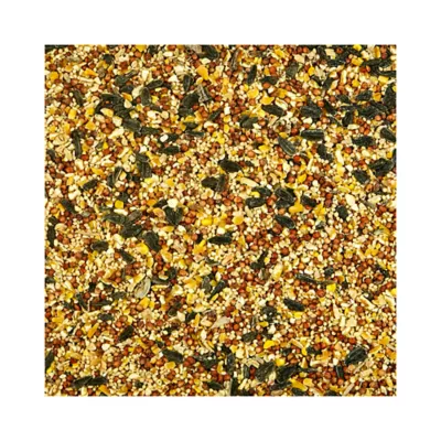 Product KAYTEE® Wild Bird Food